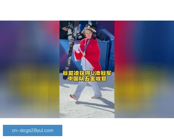 中国队收官狂揽五金创历史第二