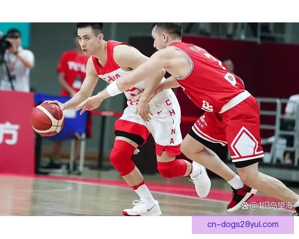 中国男篮12人名单出炉 赵睿赵继伟领衔